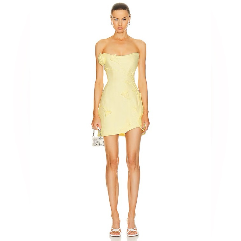 Zimmerman Matchmaker Rose Appliqué Mini Dress